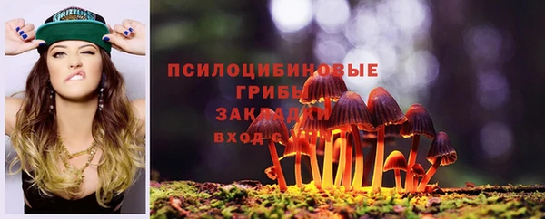 прущие грибы Кукмор