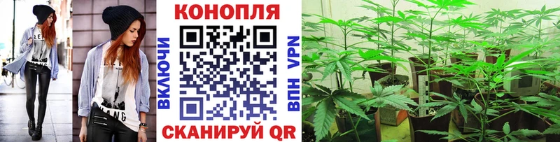 где купить   Биробиджан  hydra tor  Марихуана THC 21% 
